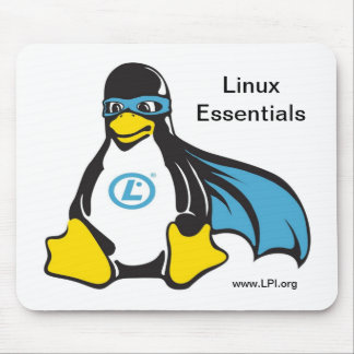 Linux Essentials Muismat V2