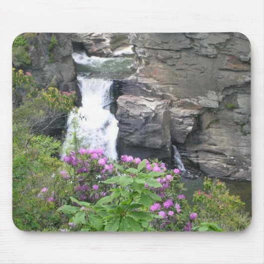 linville herfsten muismat (Voorkant)