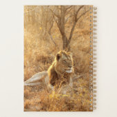 Lion (Dos)