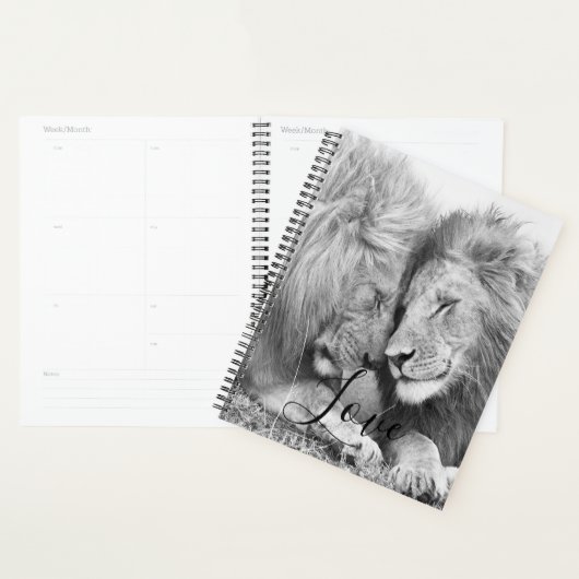 Lion (Devant avec enveloppe)