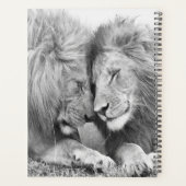 Lion (Dos)