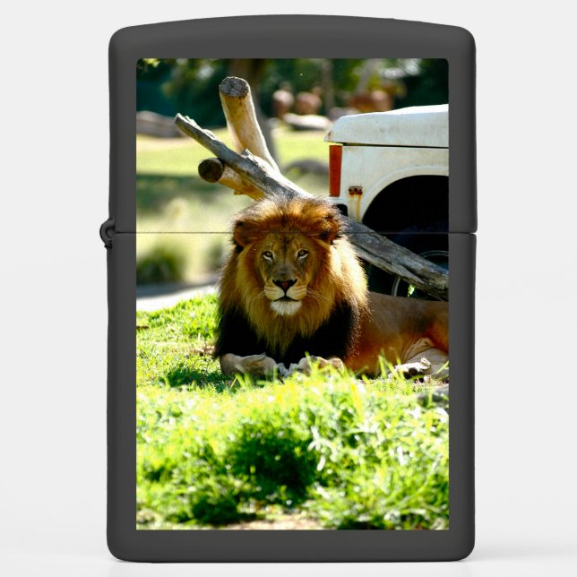 Lion (Voorkant)