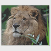 Lion20150805 Cadeaupapier (Vlak)