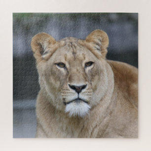Lion 004 legpuzzel