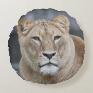 Lion 004 rond kussen