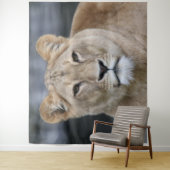 Lion 004 wandkleed (In situ)
