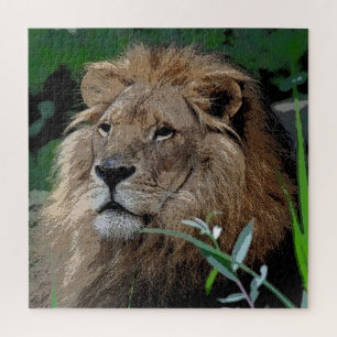 Lion 008 van JAMFoto Legpuzzel