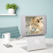 Lion 011 sticker (Laptop op bureau)
