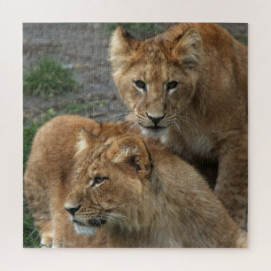 Lion 011 van JAMFoto Legpuzzel