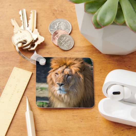 Lion 013 sleutelhanger (Bureau)