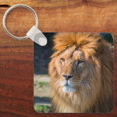 Lion 013 sleutelhanger (Voorkant)