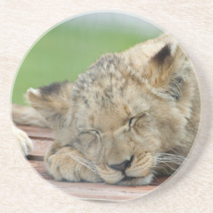 Lion 014 zandsteen onderzetter