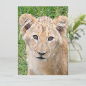 Lion 016 feestdagenkaart (Staand voorkant)