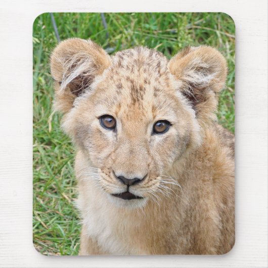 Lion 016 muismat (Voorkant)