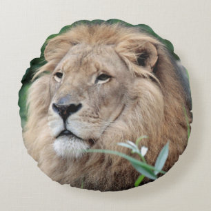 Lion 021 rond kussen