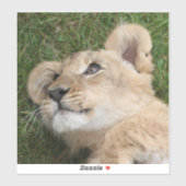 Lion 022 sticker (Vel)