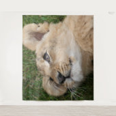 Lion 022 wandkleed (Voorkant)