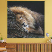 Lion 030 canvas afdruk (Insitu (Woonkamer))