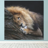 Lion 030 canvas afdruk (Insitu (Houten vloer))