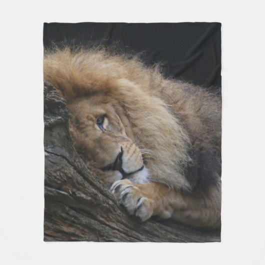 Lion 030 fleece deken (Voorkant)