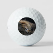 Lion 030 golfballen (Voorkant)