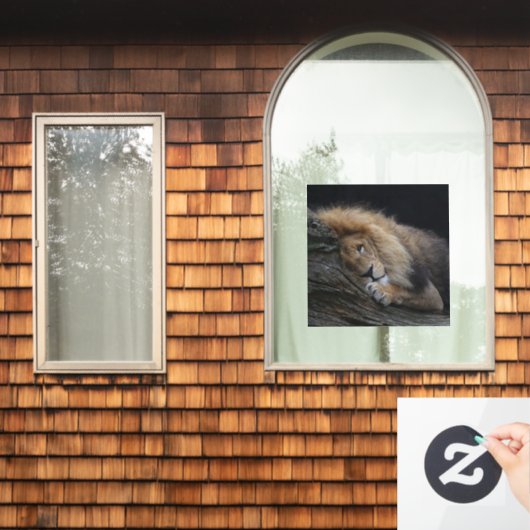 Lion 030 raamsticker (Huis Raam)