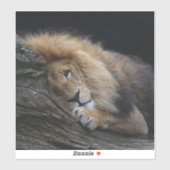 Lion 030 sticker (Vel)