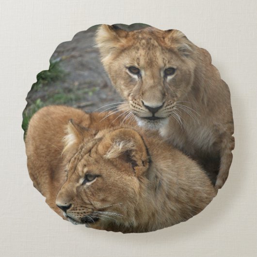 Lion 033 rond kussen (Voorkant)