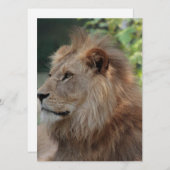 Lion 035 feestdagenkaart (Voorkant / Achterkant)