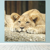 Lion 040 canvas afdruk (Insitu (Houten vloer))