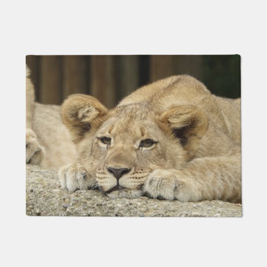 Lion 040 deurmat (Voorkant)