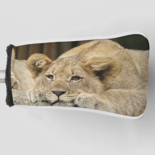 Lion 040 golfheadcover (Voorkant)