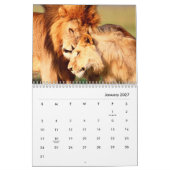 Lion [1] Wall Calendar Kalender (Jan 2027)