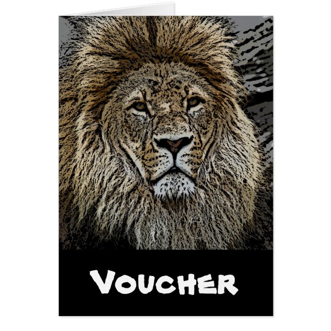 Lion_2015_0501 (Voorkant)