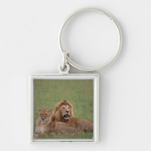 Lion 2 sleutelhanger