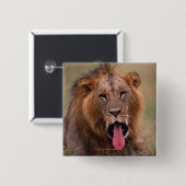 Lion 2 vierkante button 5,1 cm (Voorkant /achterkant)