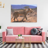 Lion 3 canvas afdruk (Insitu (Woonkamer))