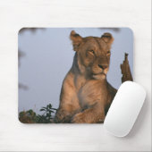 Lion 4 muismat (Met muis)