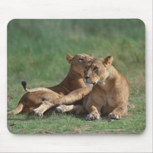 Lion 5 muismat