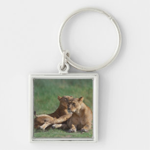 Lion 5 sleutelhanger