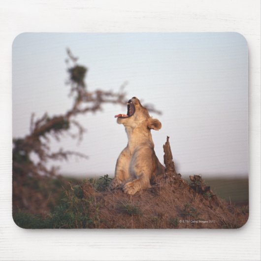 Lion 7 muismat (Voorkant)