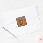 Lion 8 vierkante sticker (Envelop)