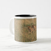 Lion 9 tweekleurige koffiemok (Voorkant links)