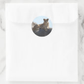 Lion à stickers (Sac)