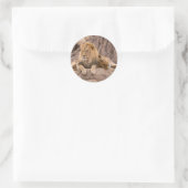 Lion à stickers (Sac)