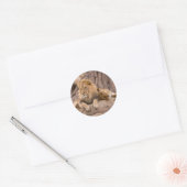 Lion à stickers (Enveloppe)