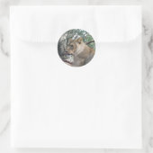 Lion à stickers (Sac)