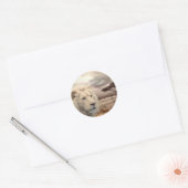 Lion à stickers (Enveloppe)