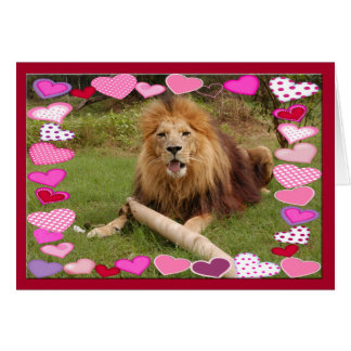 lion-africain-00030-65x45