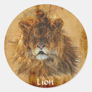 LION AFRICAIN Big Five Big Cat Wildlife Stickers